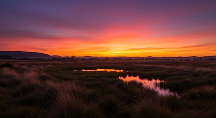 Sunset over marsh