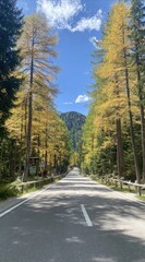 Obraz premium A road stretches between tall trees turning yellow under a bright blue sky with wispy clouds. A mountain is faintly visible in the distance