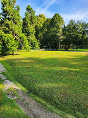 Park Lawn in Soft Morning Light