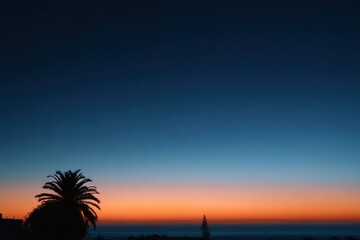Silhouette of palm tree and a distant horizon during sunset