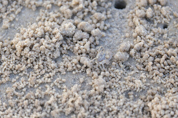 stone texture background