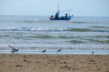 fishing on the beach