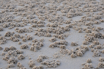 sand on the beach