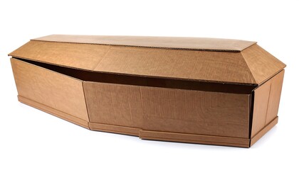 Cardboard coffin (1)