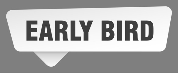 early bird sign. early bird white sticker isolated on gray background
