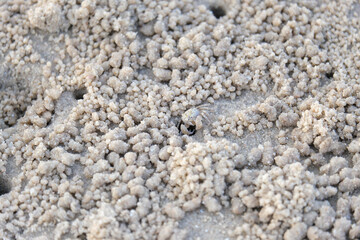 Sand e texture background