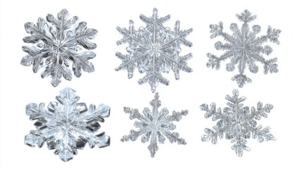 Six distinct snowflakes of different shapes and sizes are arranged on a white background, showcasing the intricate patterns and designs created by nature during wintertime.