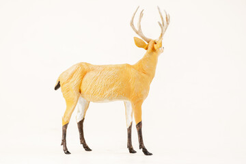 deer animal on isolated background