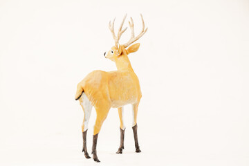 deer animal on isolated background