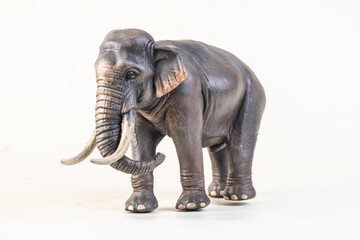 asian elephant on isolated background