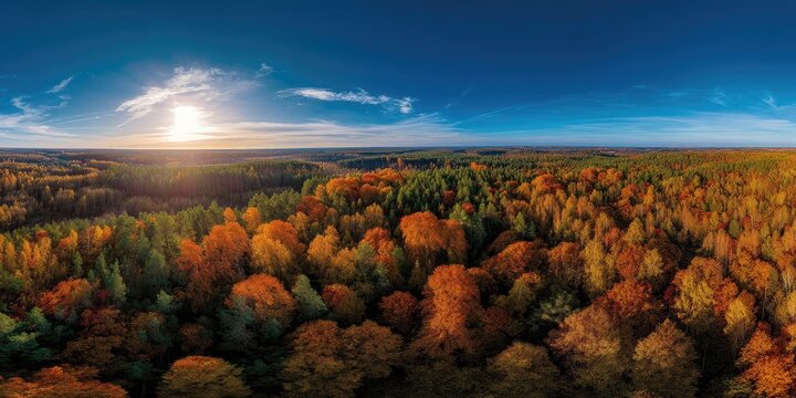 A majestic drone panorama of a mixed forest