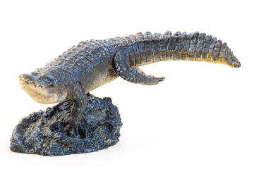 Nile crocodile animal on isolated background