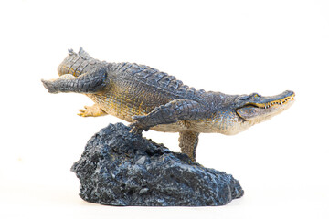 Nile crocodile animal on isolated background