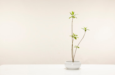 Oriental flower arrangement art
