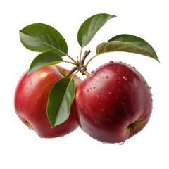 Two ripe red apples with water droplets and green leaves on a branch fruit fresh isolated on a transparent background