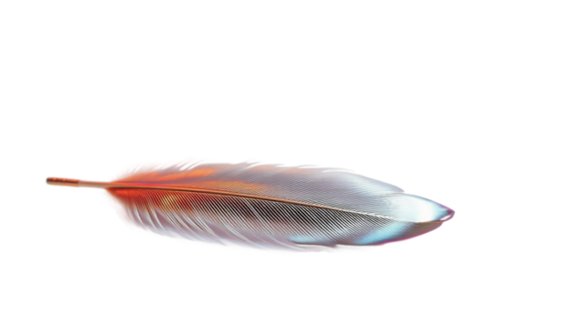 A delicate, iridescent feather drifts gracefully, casting a subtle reflection on a pure white background, symbolizing lightness and transition