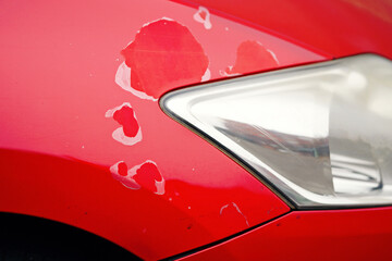 Clear coat damage caused by UV radiation from the sun. Close up detail of paint peeling cracked clear coat, weathered red car surface, damage deterioration, need for auto body repair or restoration.