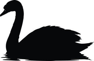 Elegant black swan silhouette swimming gracefully minimalist design vector