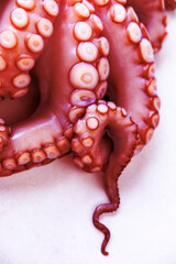 Marine cephalopod, Octopus tentacle macro, slimy surface, raw seafood, close-up texture, marine...