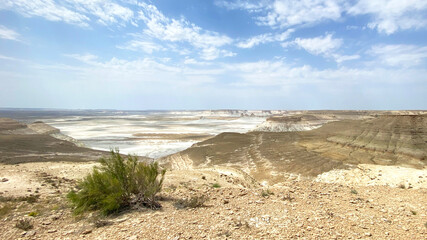 Panorama of the Bozzhyra Tract. A barren desert landscape with a single shrub in the foreground. Tourism in Kazakhstan
