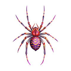 spider on a white background