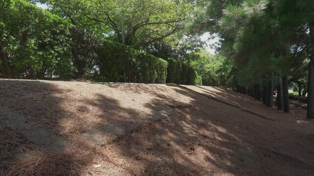 「濱口梧陵が造った広村堤防」和歌山県広川町 Hamaguchi Goryō&rsquo;s Seawall &ndash; A Symbol of Resilience in Hirogawa, Japan