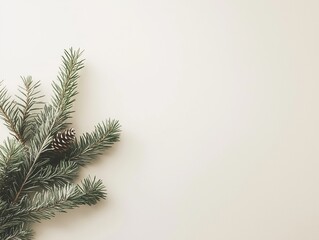 Obraz premium Evergreen Fir Branch and Pinecone on a Minimalist White Background with Copy Space