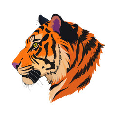 tiger head vector illustration