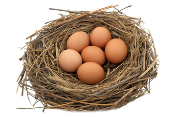 Bird nest with eggs image isolated on transparent background