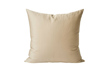 square throw pillow image isolated on a plain transparent background