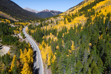Aerial view of rural road winding through the yellow aspen forest with some pine trees at both...