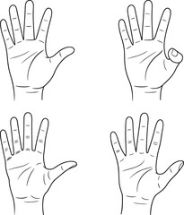 Hand Palm Line Drawing Vector, Open Human Hands Illustration, Black and White Sketch, Palmistry, Gesture Symbol, Isolated Clipart, Editable Outline Art