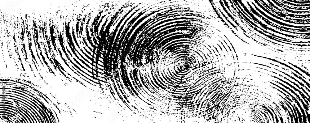 Poster black and white abstract line art texture with circular patterns for modern design