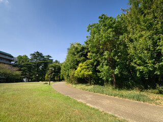 江古田の森公園　東京都
