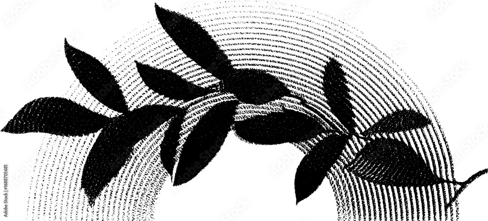 Poster black and white line art of leaves with dotted circle pattern in minimalist design