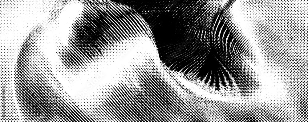 Poster dynamic op art with black and white line patterns for modern design