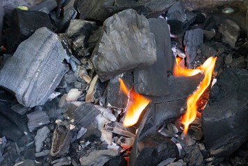 Vibrant flames dancing among glowing coals in a cozy bonfire during evening gathering
