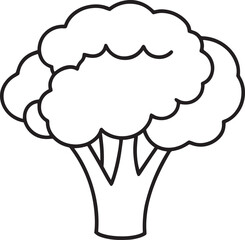 Broccoli outline vector illustration, line art