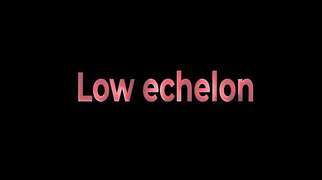 Low echelon neon text animation.