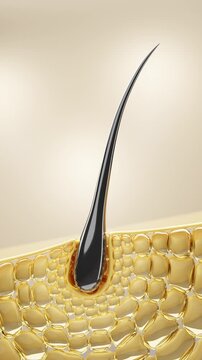 Hair care, Animation Nourish hair action of shampoo or serum. Concept Repair damaged hair. 3d rendering.	
