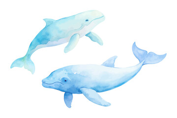 Ocean Animal Watercolor Set with Whale, Dolphin, and Sea Turtle