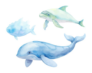 Ocean Animal Watercolor Set with Whale, Dolphin, and Sea Turtle