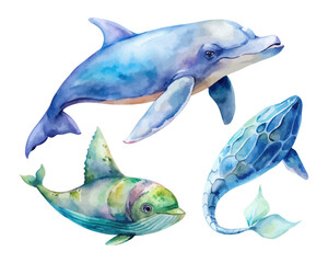 Ocean Animal Watercolor Set with Whale, Dolphin, and Sea Turtle