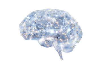 Digital brain ai neural network artificial intelligence technology data on transparent background