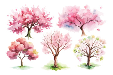 Obraz premium set of Japanese Cherry Blossom Tree Watercolor Illustration
