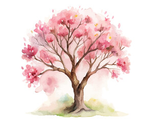 Fototapeta premium Japanese Cherry Blossom Tree Watercolor Illustration