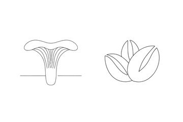 Mushroom and nuts minimalist line art chanterelle pistachios