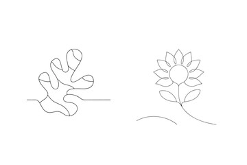 Organic shapes and floral bloom abstract lines