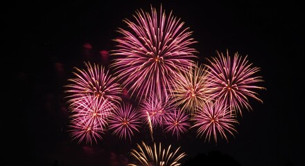 Fireworks display against dark night sky