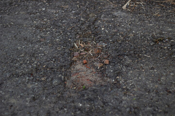 Closeup of small red brick fragments embedded in asphalt